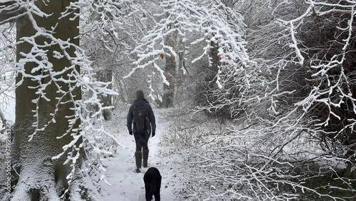 A woman and her black labrador retriever dog walk through a beautiful snow covered forest during the cold winter - North Yorkshire, UK