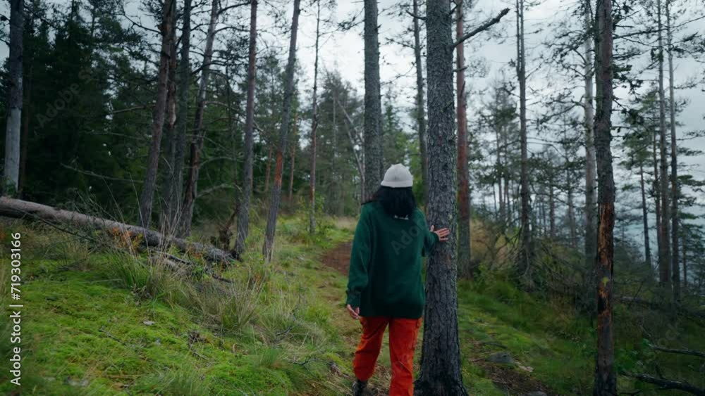 One Female Tourist Walking In Mountains, Traveling In Natural Location, Following Shot, Slow Motion One Female Tourist Walking In Mountains, Traveling In Natural Location, Following Shot, Slow Motion