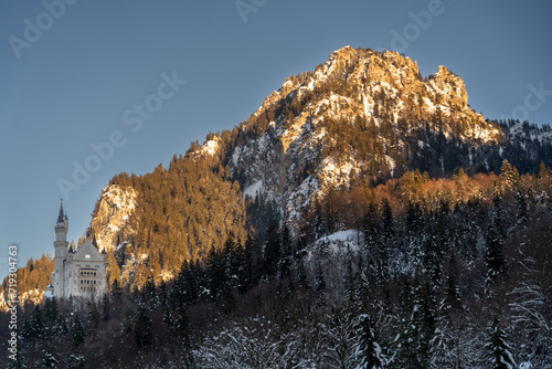 Castle Neuschwanstein in Winter