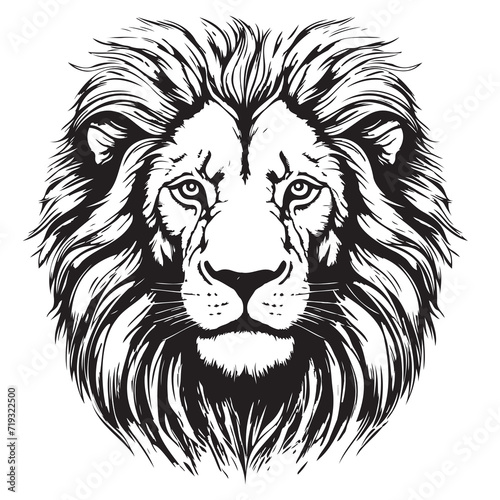 Lion portrait lion head sketch hand drawn engraving style Wild animals Vector