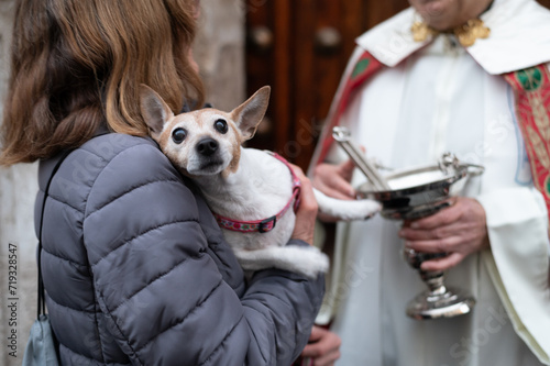 Una mujer sostiene un perro antes de ser bendecido el día de San Antón, patrón de los animales, España.