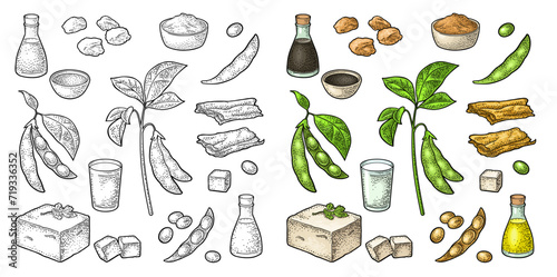 Soy food set. Miso, tofu skin, soybean, sauce