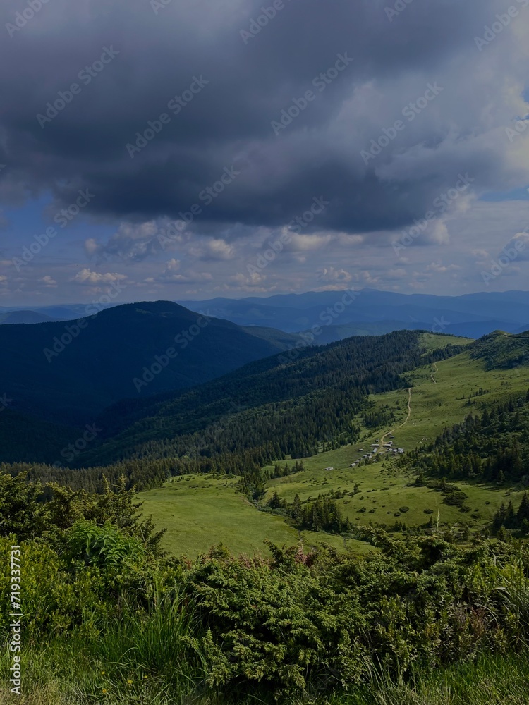 Fototapeta premium landscape with sky