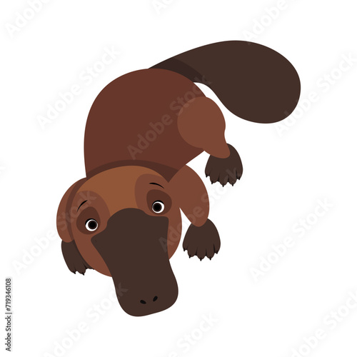 Cute brown Australian platypus on isolated background