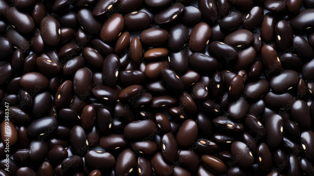 Dry black bean isolated on white background. Dry black bean isolated on white background.