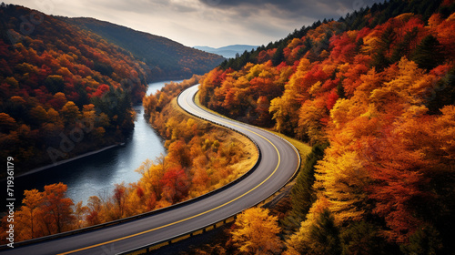Aerial view of thick forest in autumn with curvy Road