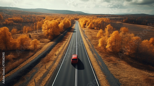 Top view car in autumn road 3d rendering