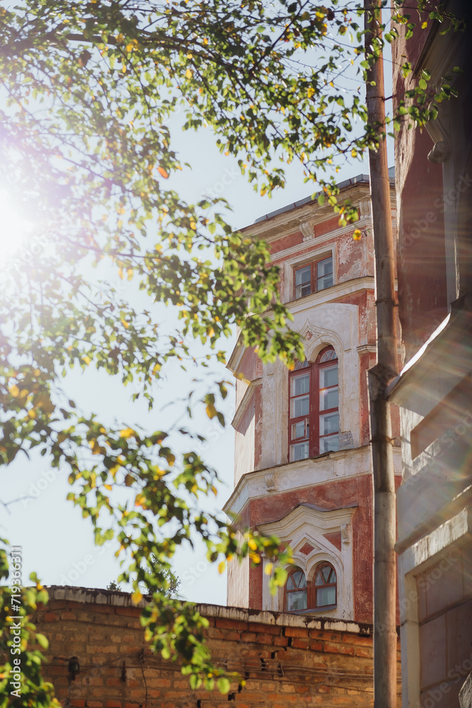 Fototapeta premium The windows of the old building are visible through the leaves of the tree