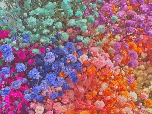 colorful background of flowers