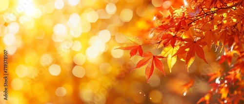 Vibrant Autumnthemed Web Banner With Maple Leaves And Soft Bokeh Background. Сoncept Autumn Leaves Web Banner, Cozy Fall Vibes, Nature-Inspired Design, Rustic Colors, Serene Background