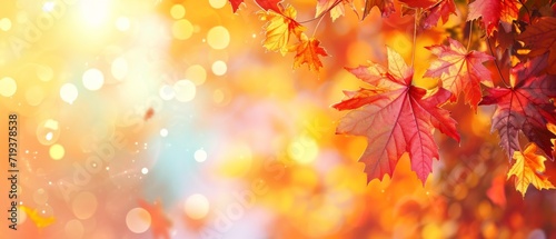Enchanting Autumn-Inspired Web Banner With Maple Leaves And Subtle Bokeh Background. Сoncept Autumn-Inspired Web Banner, Maple Leaves, Subtle Bokeh Background