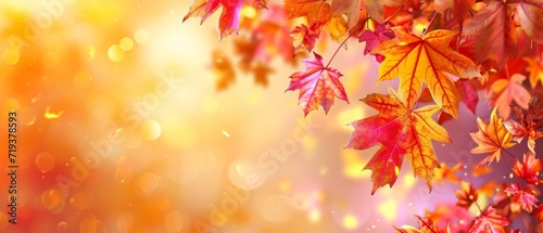 Lively Autumn Banner Featuring Colorful Maple Leaves And Warm Bokeh Background. Сoncept Holiday-Themed Family Portraits, Romantic Couple Photoshoot, Candid Moments In Nature, Urban Exploration Photos