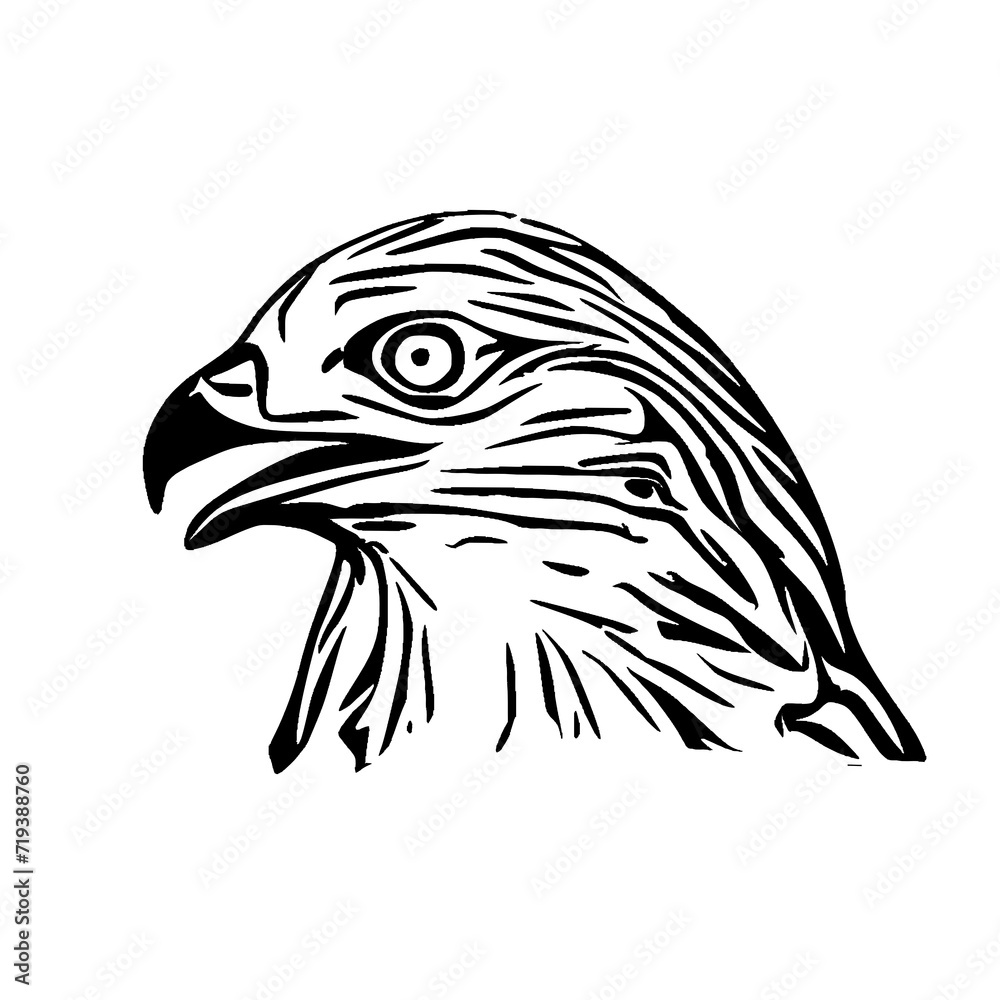 Obraz premium black and white sketch of an eagle's head with a transparent background for elements for making logos and symbols