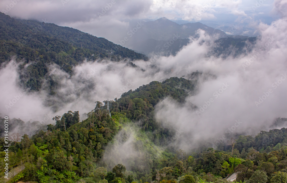 Fototapeta premium Scenic view of the misty mountains along the Genting Highlands, Malaysia