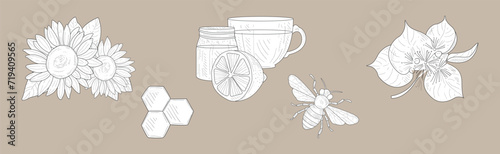 Honey Product and Element Hand Drawn Vector Set