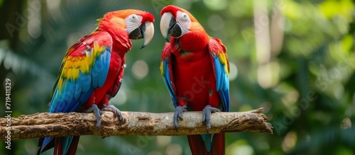 two parrots on a branch Generative AI