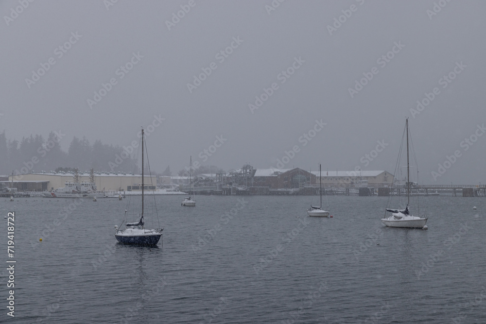 boats in the harbor