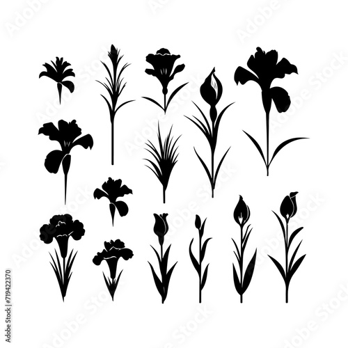 Iris flower black silhouette. Attractive tulips, narcissus, iris flower art, and vector illustration