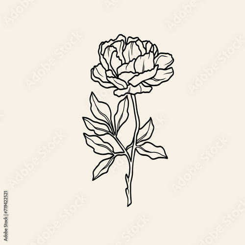 Line art peony flower branch