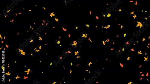 Autumn Leaf Particles. Autumn Leaves. With Alpha Channel Prores 4444. Loop Animation.