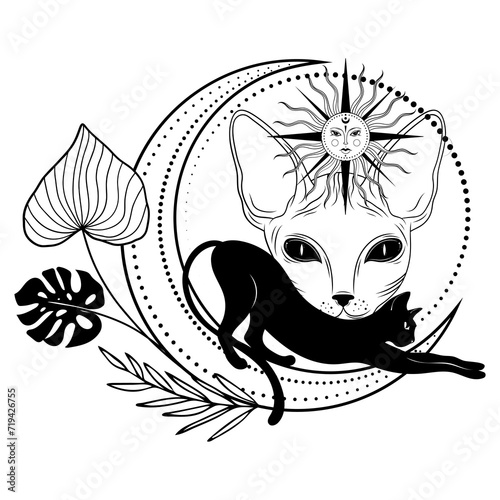 Mystical black cat. Silhouette. Poster with a cat. Vector.