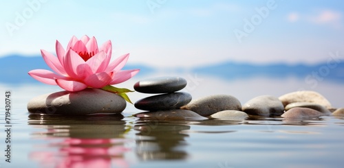 A pink flower sits gracefully atop a sturdy pile of rocks, creating a striking contrast between the softness of the petals and the roughness of the stones.