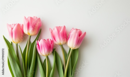 Sleek White Background Accentuating a Bouquet of Pink-Edged White Tulips for Mother's Day 