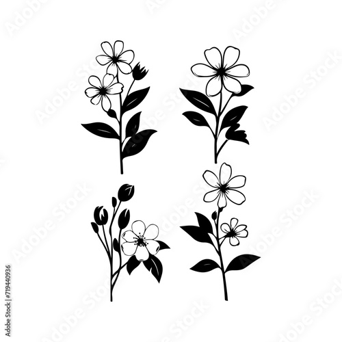 Jasmine flower black silhouette. Attractive tulips  jasmines  iris flower art vector illustration