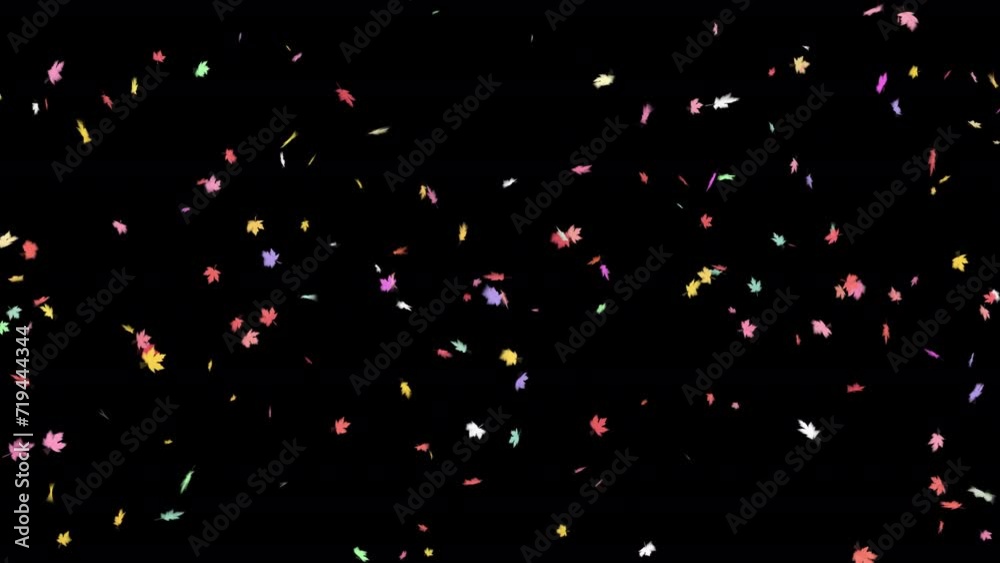 Autumn Leaf Particles. Autumn Leaves. With Alpha Channel Prores 4444. Loop Animation. Autumn Leaf Particles. Autumn Leaves. With Alpha Channel Prores 4444. Loop Animation.