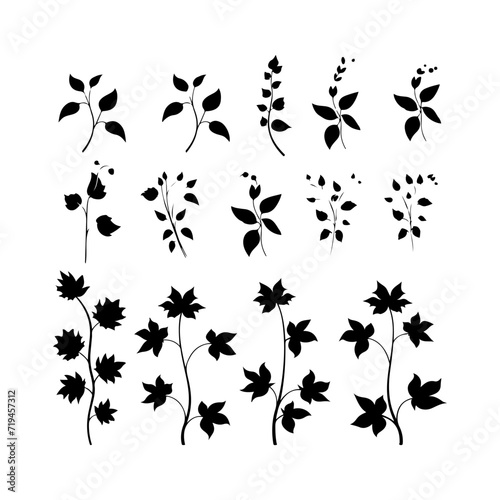 Lvy black silhouette set. Attractive lvy, leaf, flower, plant, tree art and vector illustration
