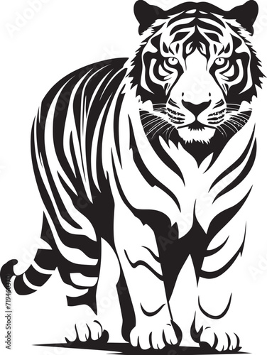 Fototapeta Naklejka Na Ścianę i Meble -  Intricate Tiger Drawing Detailed Lines of Predatory GraceFluid Tiger Silhouette Dynamic Contours in Monochrome