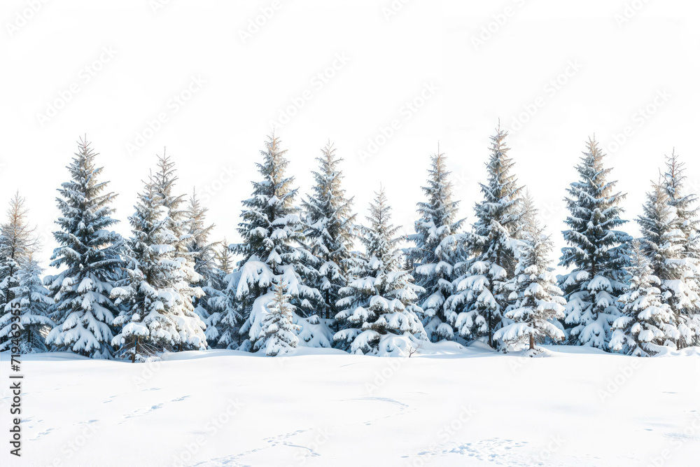 Snow-covered Pine Trees in a Winter Landscape Isolated on White Background. Realistic Snowy Pines For Winter Season Snow-covered Pine Trees in a Winter Landscape Isolated on White Background. Realistic Snowy Pines For Winter Season