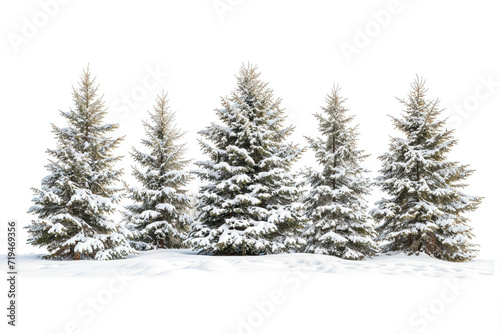 Snow-covered Pine Trees in a Winter Landscape Isolated on White Background. Realistic Snowy Pines For Winter Season © Immersive Dimension