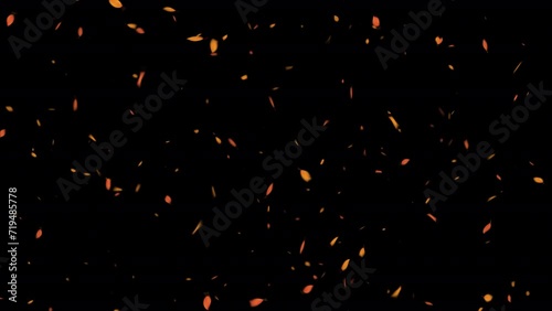 Autumn Leaf Particles. Autumn Leaves. With Alpha Channel Prores 4444.