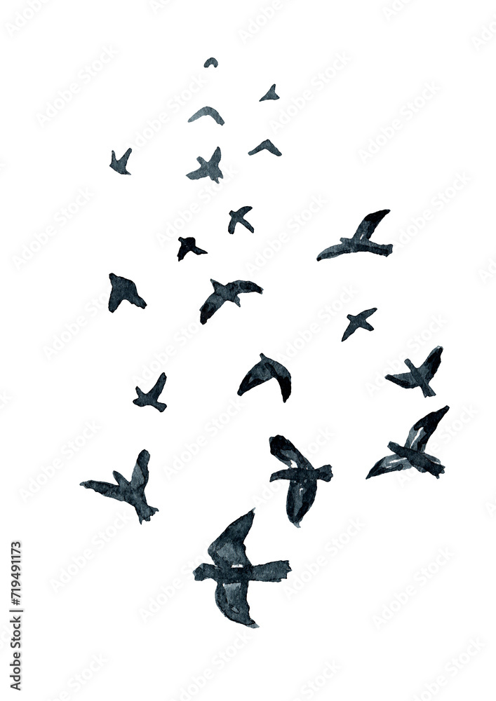 Flying flock of pigeons, sketch. Hand drawn watercolor illustration isolated on white background Flying flock of pigeons, sketch. Hand drawn watercolor illustration isolated on white background