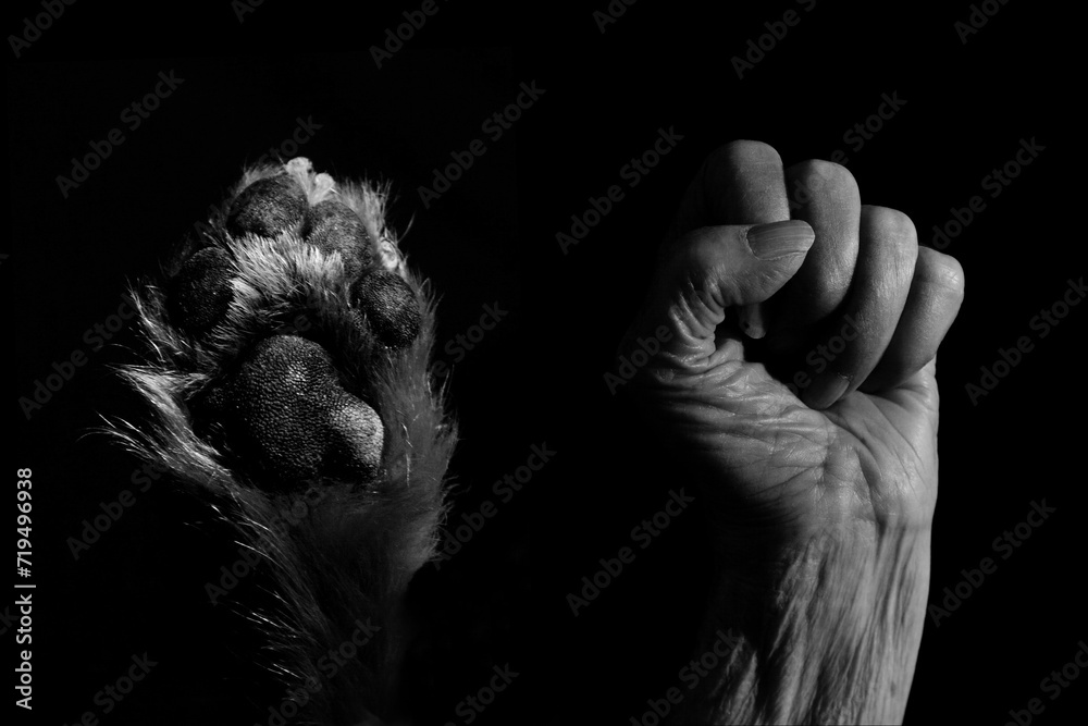 A clenched fist of an elderly woman and a dog's paw, united in a Black