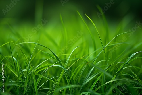 Using Grass As A Background