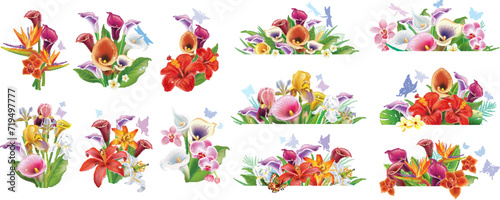 Arrangements from tropical flowers