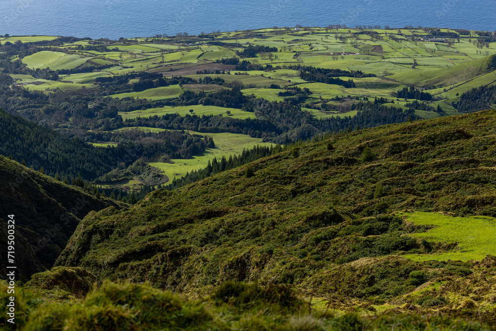 View to the green meadow landscape of the natural nature of the island of São Miguel in the Azores Archipelago, Portugal.