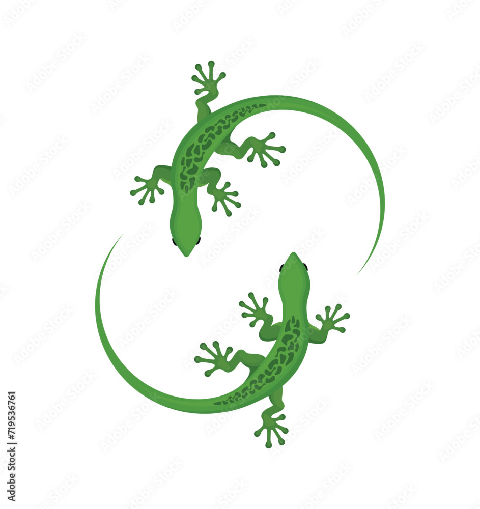 Fototapeta premium Two green gecko lizards with patterns on their backs