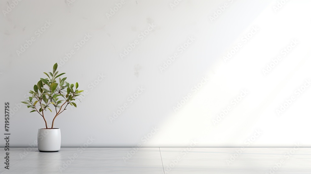 empty white wall in modern style, complemented by a window and a sleek concrete floor, the minimalist elegance and clean lines of the space, emphasizing the interplay of architectural elements. empty white wall in modern style, complemented by a window and a sleek concrete floor, the minimalist elegance and clean lines of the space, emphasizing the interplay of architectural elements.