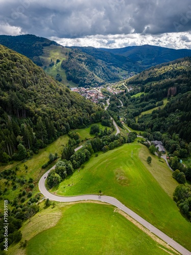 Принти на полотні Winding road through Black Forest, Germany