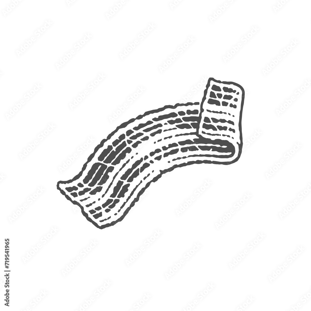 Slice of bacon. Hand drawn engraving style illustrations. Vector engraving. Slice of bacon. Hand drawn engraving style illustrations. Vector engraving.
