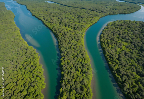 Mangroves in Senegal. Mangrove forest from above at Senegal's Saloum Delta National Park, Joal Fadiout. Drone taken aerial photo. African Natural Scenery.  photo