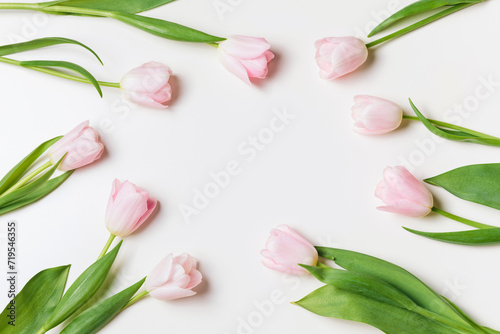 Light pink blooming tulips flowers row over white background. Spring holiday banner, frame, border, happy easter card, mothers day, international womans day. Flat lay, top view, copy space