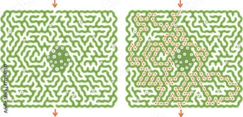 Green horizontal hedge maze vector Illustration. Top view of the open air rectangular labyrinth made of garden bushes and grass with flowers. Education logic game for preschool and school pupils.