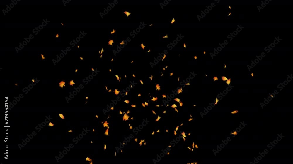 Autumn Leaf Particles. Autumn Leaves. With Alpha Channel Prores 4444. Autumn Leaf Particles. Autumn Leaves. With Alpha Channel Prores 4444.