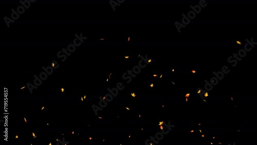 Autumn Leaf Particles. Autumn Leaves. With Alpha Channel Prores 4444.