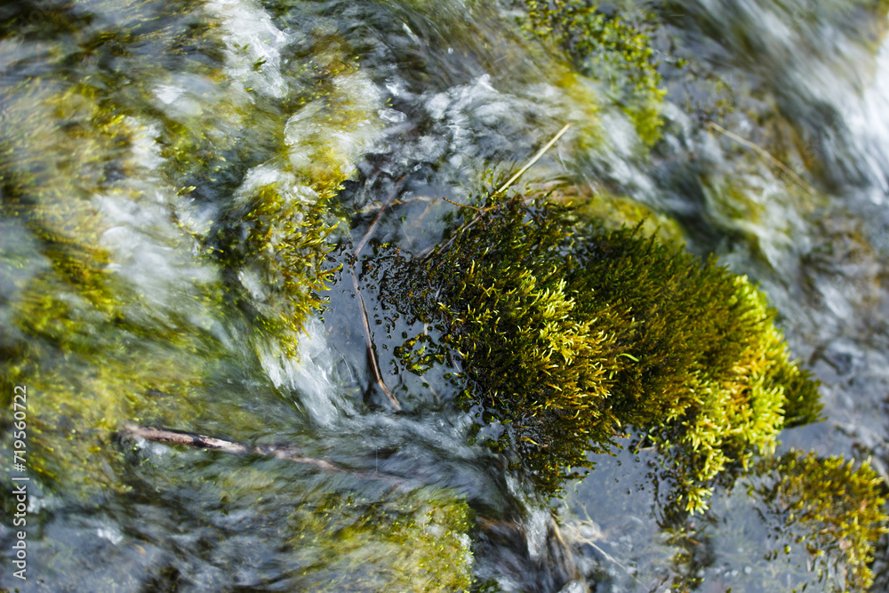 Fototapeta premium Green Moss and Swirling Water in Gjain Iceland