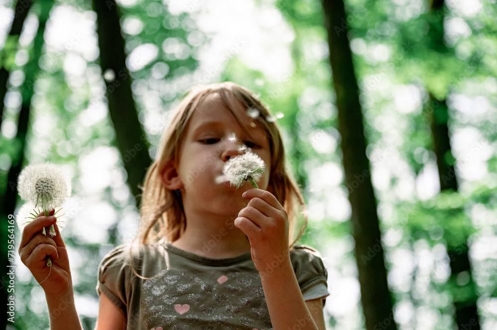 Toddler girl blowing dandelion bulb while holding another one in other hand Toddler girl blowing dandelion bulb while holding another one in other hand
